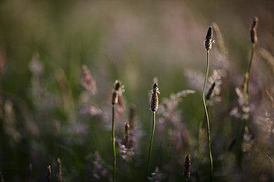 《重力异想世界》总监有兴趣制作系列第三款游戏